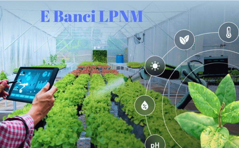 e Banci LPNM: A Portal for the Malaysian Pineapple Industry