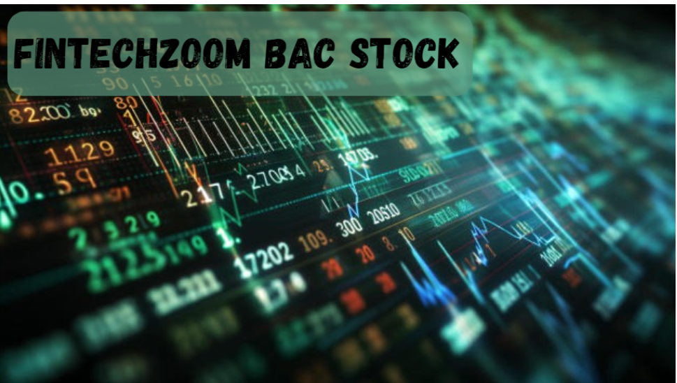 Unveiling the Insights of FintechZoom BAC Stock